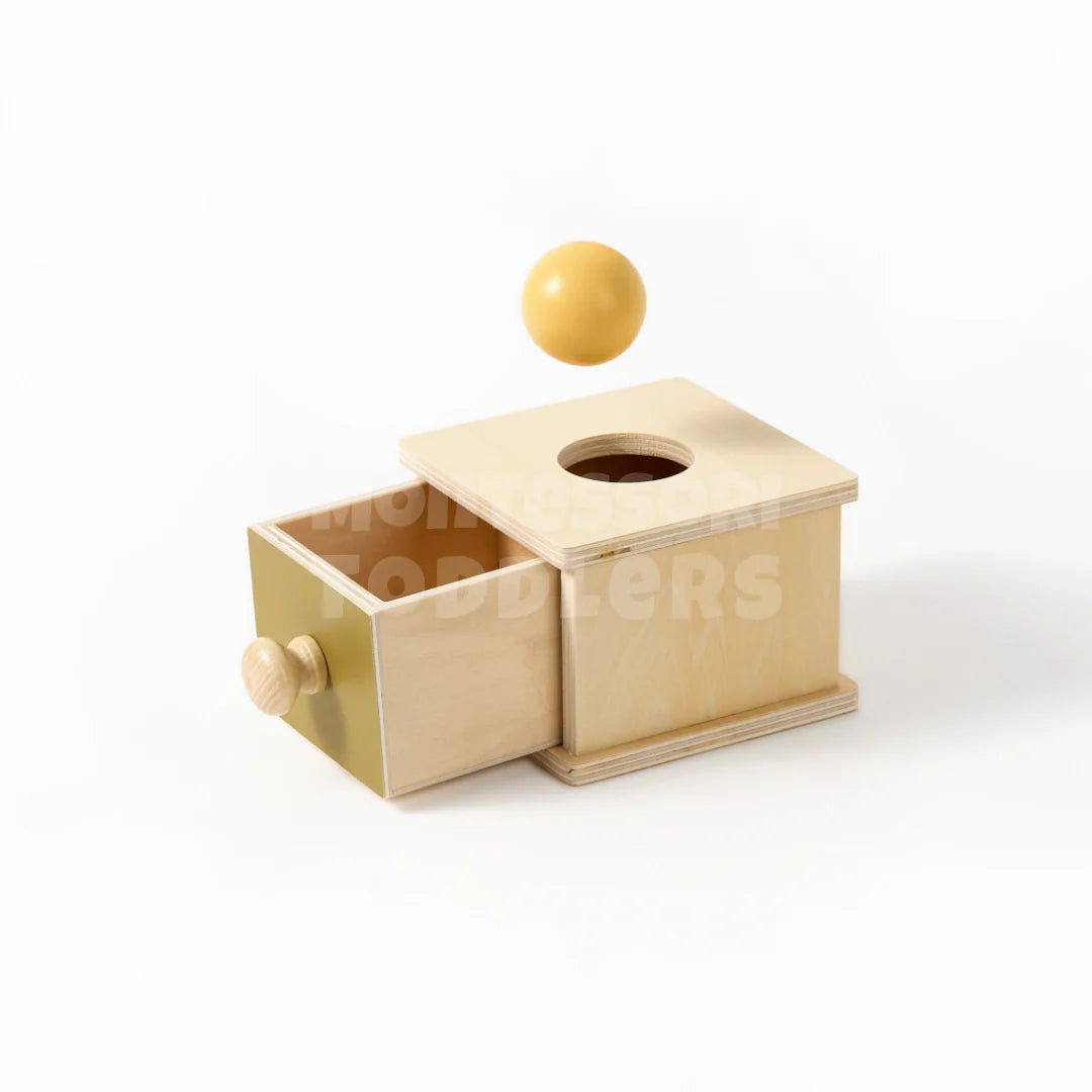 Toddlers Object Permanence Box - Watch, Drop, Discover