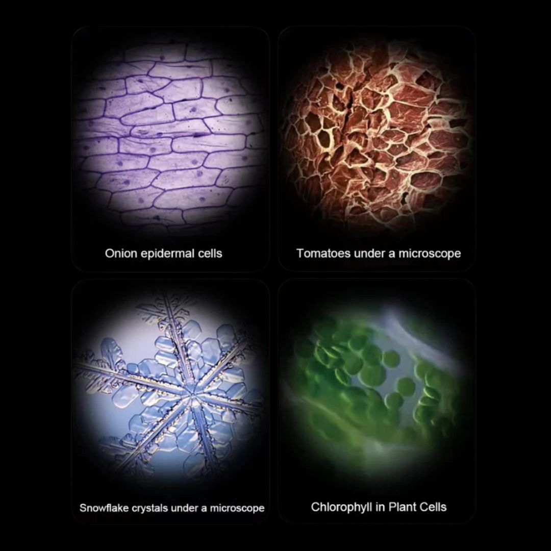 Kids Pocket Microscope