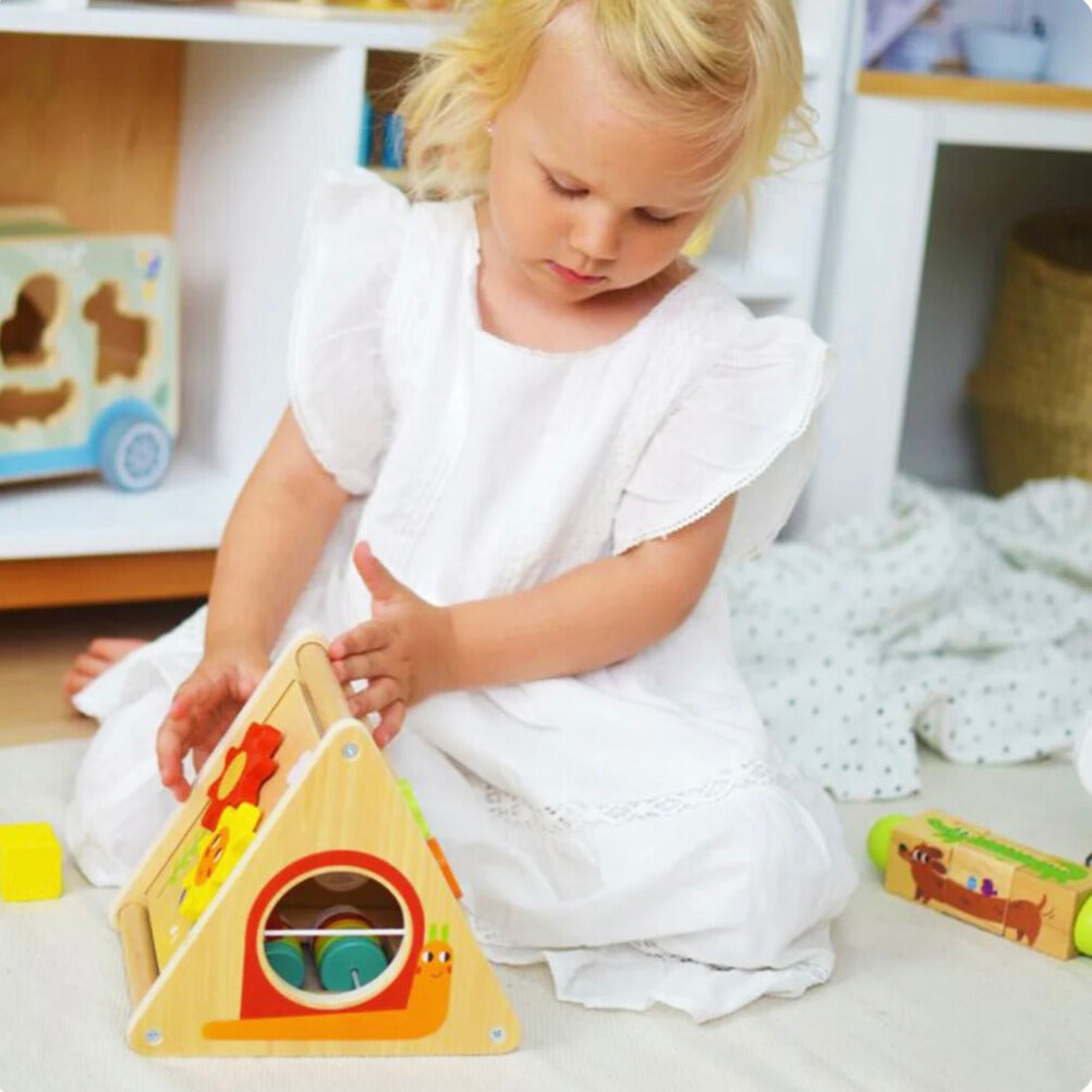 Montessori Toddlers Play Kit 19-24 months