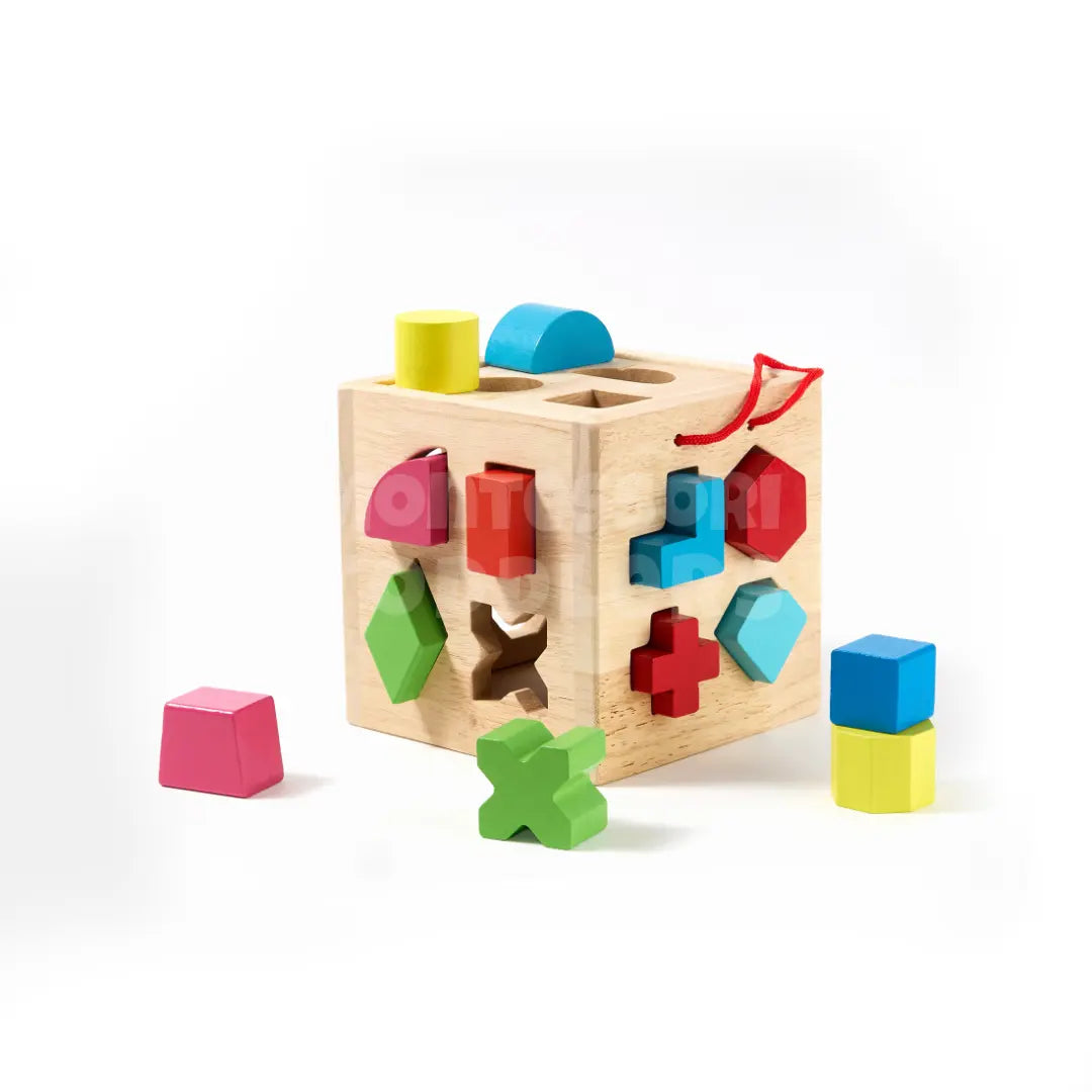 Toddlers Geometric Blocks