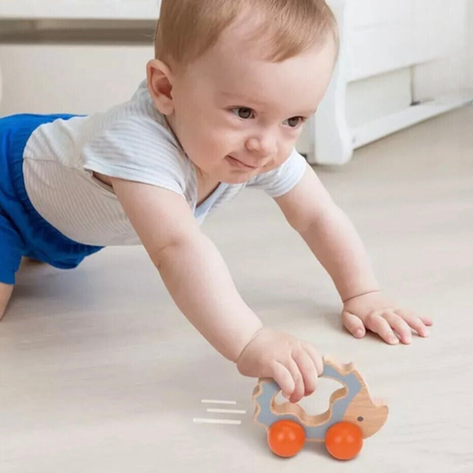 Montessori Toddlers Play Kit 7-12 months