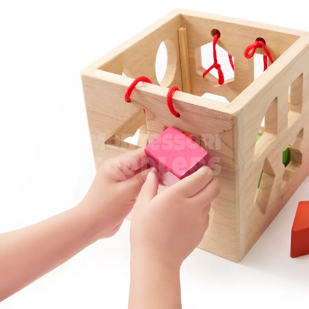 Toddlers Geometric Blocks