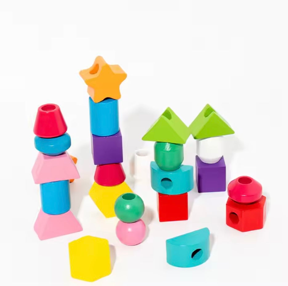 Toddlers Color Matching Blocks